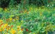 Bauerngarten.jpg