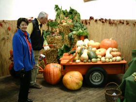 IMG_0014.JPG
