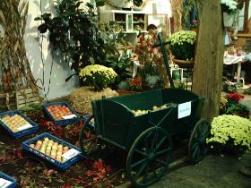 IMG_0019.JPG