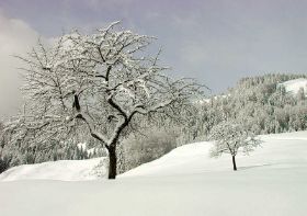 KW: 03-05 - ...auf luftigen Höh'n, liegt Schwalbach...